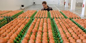 Εντοπίστηκαν προϊόντα αυγών μολυσμένα με fipronil και στην Αυστρία/ Φωτογραφία: Vadim Ghirda/ AP