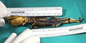 Ολη η αλήθεια για τον λιλοπούτειο εξωγήινο - Τι έδειξε η εξέταση DNA [βίντεο]