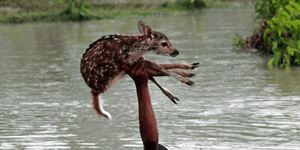 Συγκλονιστικά καρέ που κόβουν την ανάσα:15χρονος ρίσκαρε τη τη ζωή του για να σώ