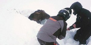 Έσωσαν ελάφι που είχε θαφτεί μέσα στο χιόνι