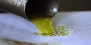 Φωτογραφία: (EUROKINISSI /ΤΑΤΙΑΝΑ ΜΠΟΛΛΑΡΗ)