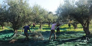 (EUROKINISSI/ ΑΝΤΩΝΗΣ ΝΙΚΟΛΟΠΟΥΛΟΣ)