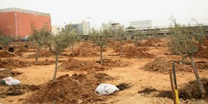 Φωτογραφία Αρχείου: Eurokinissi 