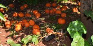 Φωτογραφία: Eurokinissi