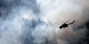 Φωτογραφία: SOOC