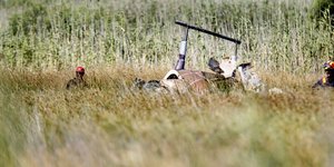 Φωτογραφία:  ΘΑΝΑΣΗΣ ΔΗΜΟΠΟΥΛΟΣ/EUROKINISSI