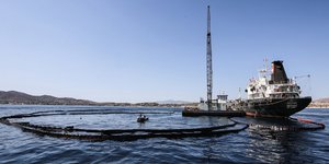 Φωτογραφία: SOOC