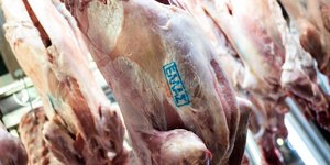 Φωτογραφία: SOOC