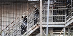 Φωτογραφία: SOOC