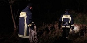 Φωτογραφία Creta Live