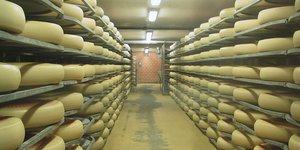 Γευστικό ελβετικό έμενταλ