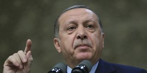 Φωτογραφία: (Presidential Press Service