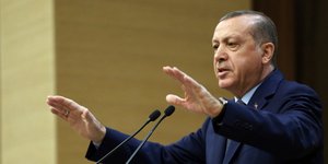 Φωτογραφία: Murat Cetinmuhurdar/ Pool photo via AP