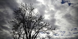 ΦΩΤΟΓΡΑΦΙΑ: EUROKINISSI