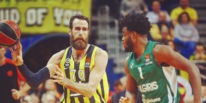 Φωτογραφία Euroleague