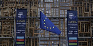 Φωτογραφία: Alexandros Michailidis / SOOC