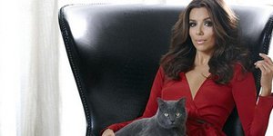 Ποιος είναι ο ιδιαίτερος δεσμός που έχει με τη χώρα μας η Εύα Λονγκόρια;