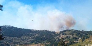 Φωτογραφία: eviaportal.gr