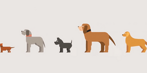 Καρέ καρέ η θεωρία της εξέλιξης σε ένα εντυπωσιακό βίντεο κινουμένων σχεδίων