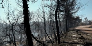 Φωτιά Εύβοια/ Φωτογραφία intime news