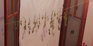 Φωτογραφία: astynomia.gr