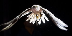 Φωτογραφία αρχείου: ΑΠΕ/ EPA/ SVEN HOPPE