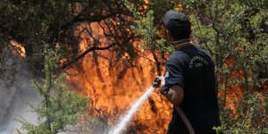 ΦΩΤΟΓΡΑΦΙΑ: INTIME NEWS /ΛΙΑΚΟΣ ΓΙΑΝΝΗΣ