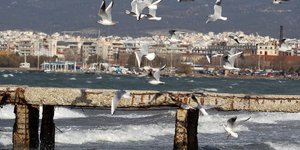 ΦΩΤΟΓΡΑΦΙΑ: EUROKINISSI /ΜΟΤΙΟΝΤΕΑΜ /ΦΑΝΗ ΤΡΥΨΑΝΗ