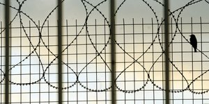 ΦΩΤΟΓΡΑΦΙΑ: EUROKINISSI/ΤΑΤΙΑΝΑ ΜΠΟΛΑΡΗ