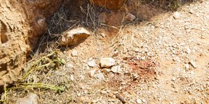 Eurokinissi/ΠΑΝΑΓΟΠΟΥΛΟΣ ΓΙΑΝΝΗΣ