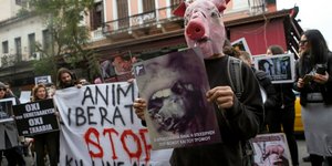 Από πρόσφατη συγκέντρωση φιλόζωων