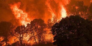 Φωτογραφία: ΑΠΕ