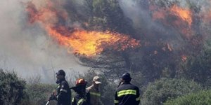 Εικόνα: zantepress.gr