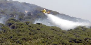 Φωτογραφία: AΡ