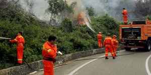 ΦΩΤΟΓΡΑΦΙΑ ΑΡΧΕΙΟΥ: AP