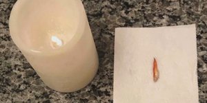 Φωτογραφία: Twitter/ Η πιο viral... κηδεία: Κήδεψε το ψάρι του και το ανέβασε στο Twitter [εικόνες]