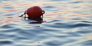 φωτογραφία: pixabay.com