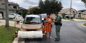 Ο Flintstone πήρε κλήση/Φωτογραφία:allthatsinteresting