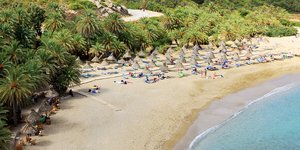 Φοινικόδασος του Βάι (Φωτογραφία: Shutterstock)