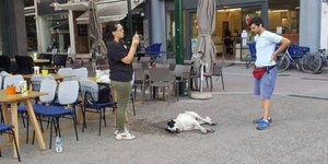 Εικόνα αρχείου / Φωτογραφία: Facebook