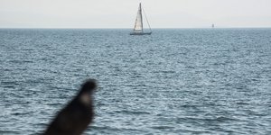 Φωτογραφία: Giorgos Zachos / SOOC