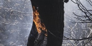 ΦΩΤΟΓΡΑΦΙΑ: Menelaos Myrillas / SOOC