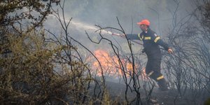 Φωτιά Δαφνιώτισσα(Φωτογραφία: EUROKINISSI/ILIALIVE.GR/ΓΙΑΝΝΗΣ ΣΠΥΡΟΥΝΗΣ)