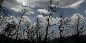 Υπό έλεγχο η φωτιά στον Πύργο /Φωτογραφία Αρχείου: Intime News-ΛΙΑΚΟΣ ΓΙΑΝΝΗΣ