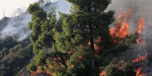 Φωτογραφίααρχείου: ΜΟΤΙΟΝΤΕΑΜ/ΒΕΡΒΕΡΙΔΗΣ ΒΑΣΙΛΗΣ