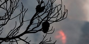Φωτιά σε εξέλιξη Φωτογραφία Αρχείου: Intime News-ΛΙΑΚΟΣ ΓΙΑΝΝΗΣ