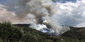 Φωτιά στην Ηλεία /Φωτογραφία Αρχείου: Eurokinissi 