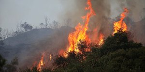 Φωτιά στην Κάρυστο (Φωτογραφία αρχείου: ΜΟΤΙΟΝΤΕΑΜ/ΒΕΡΒΕΡΙΔΗΣ ΒΑΣΙΛΗΣ)