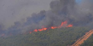 Νέες πυρκαγιές σε Παλλήνη