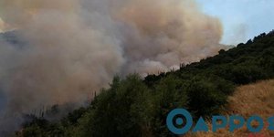 Φωτογραφία: tharrosnews